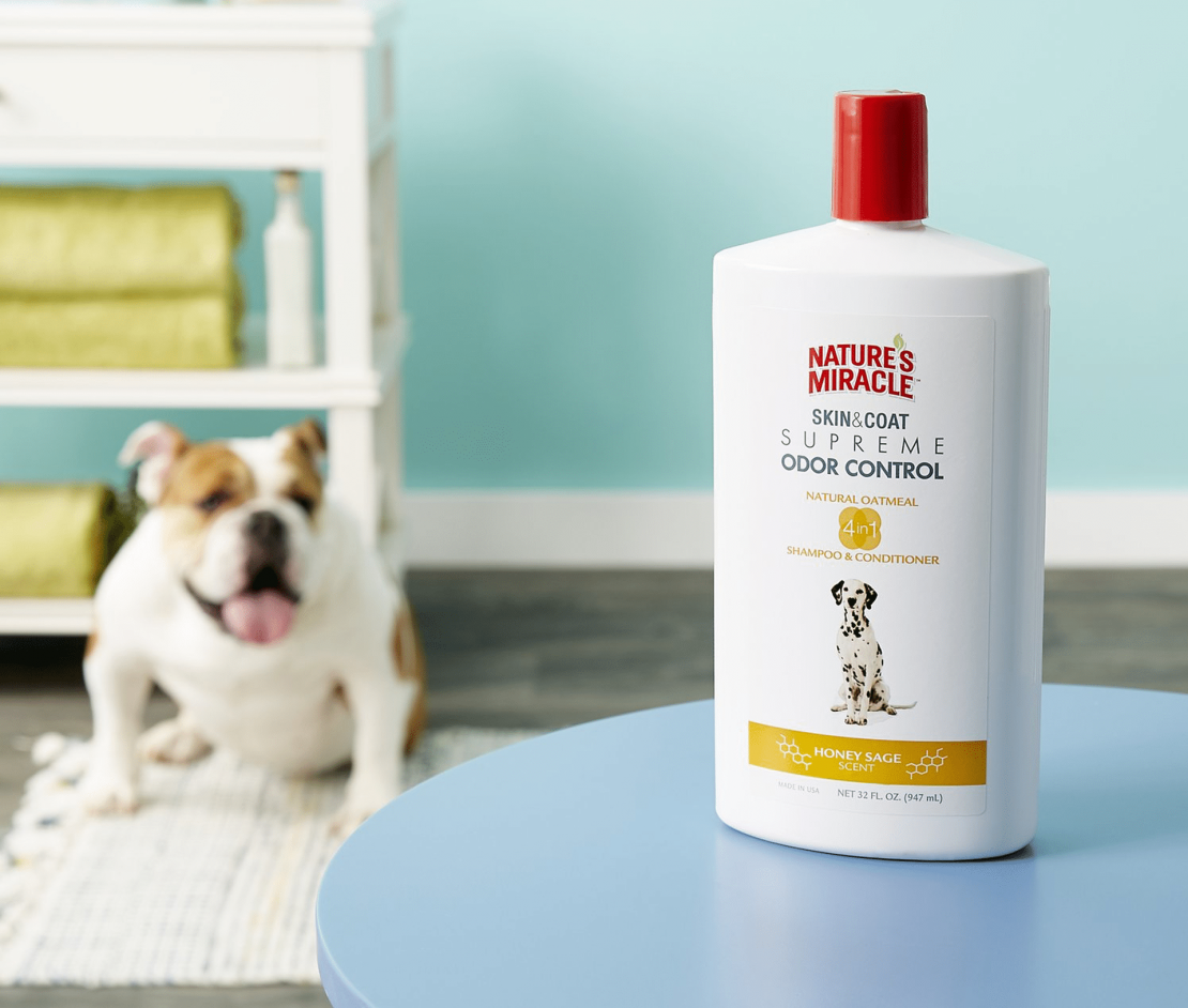 Best Dog Shampoo for Odor 2020 Review Heel Boy Heel