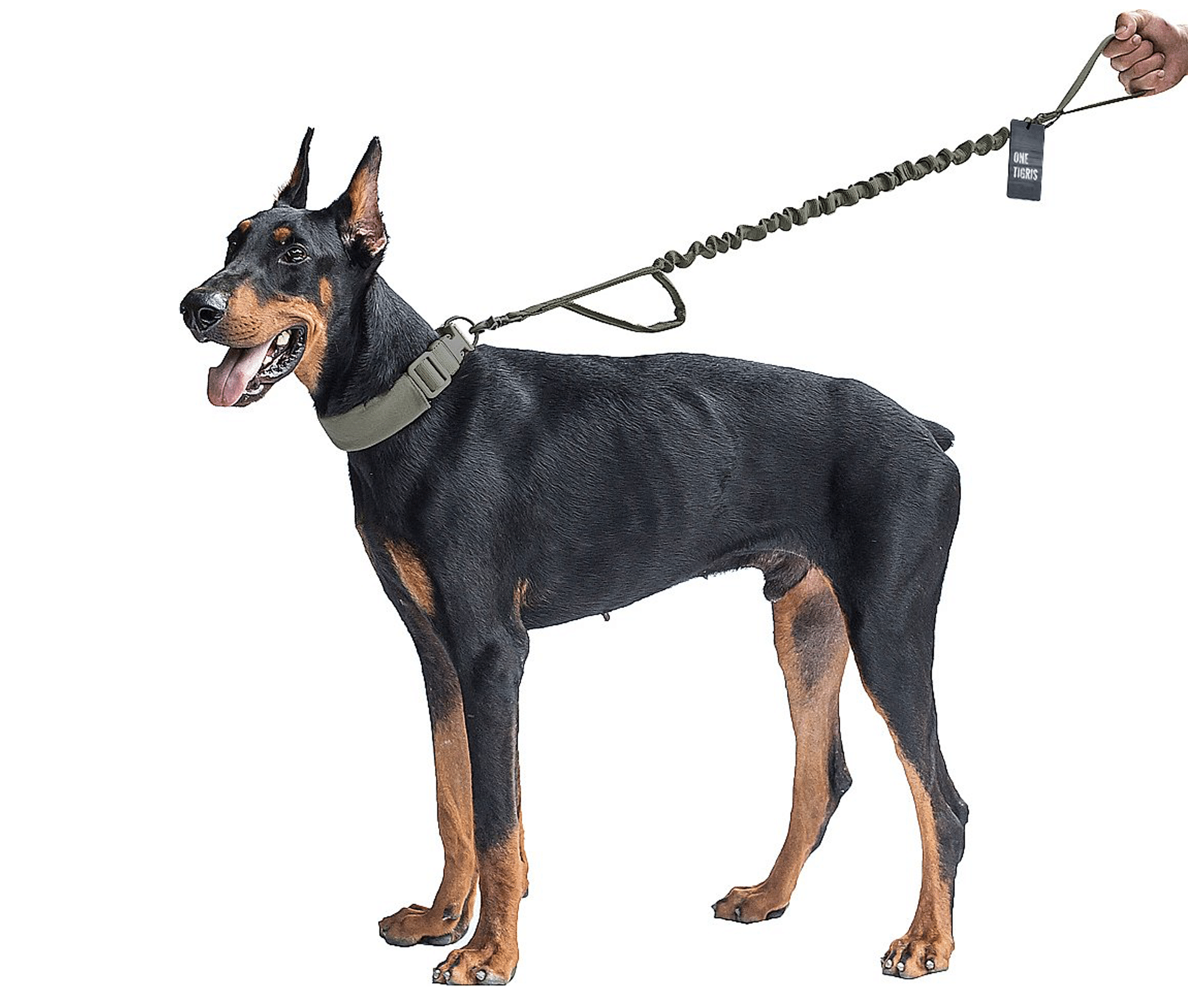 The OneTigris Training Bungee Dog Leash