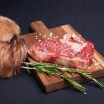 Can Dogs Eat Pork or Raw Meat?