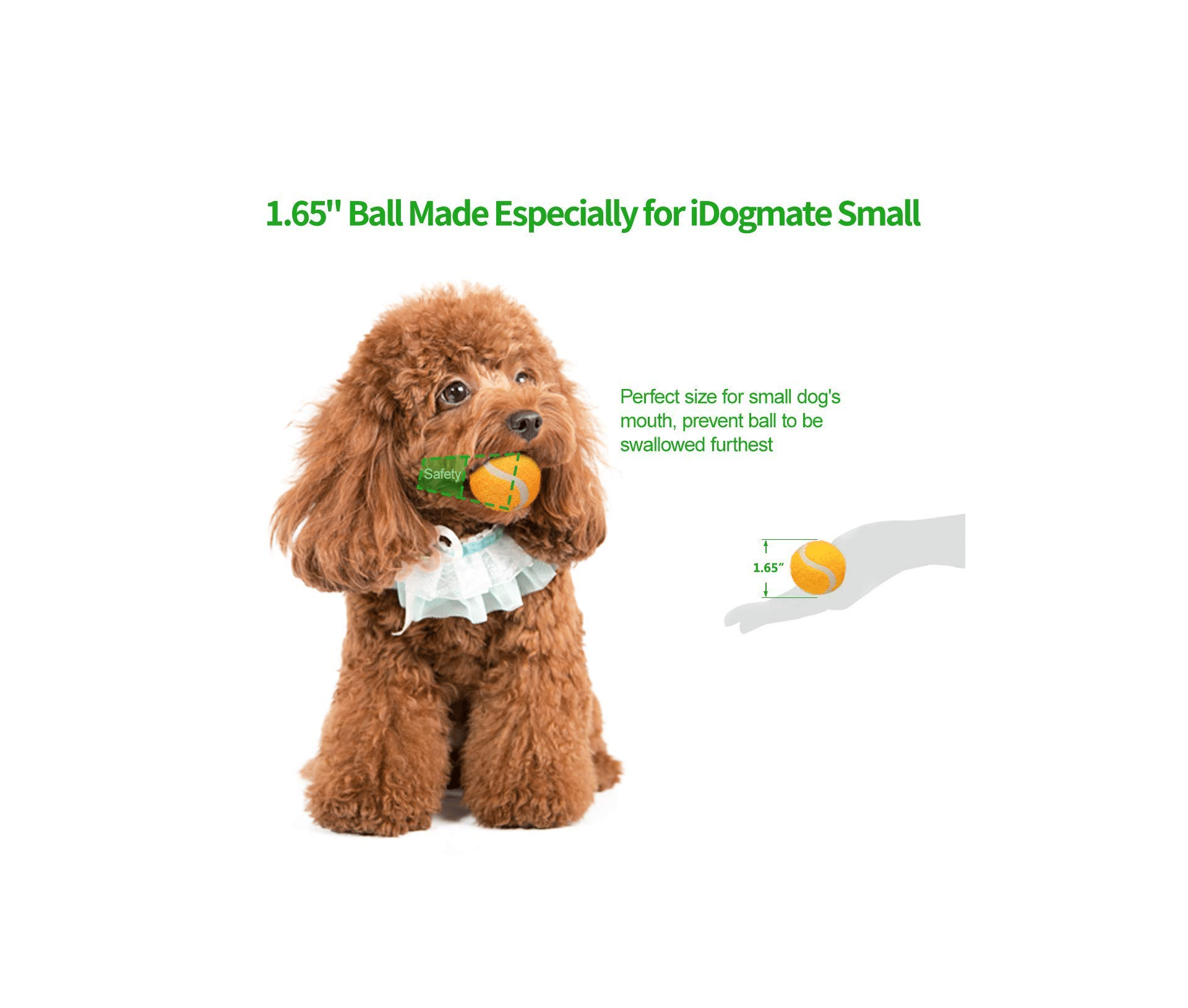 Idogmate Dog Ball Launcher for Small Dogs 2019 Review