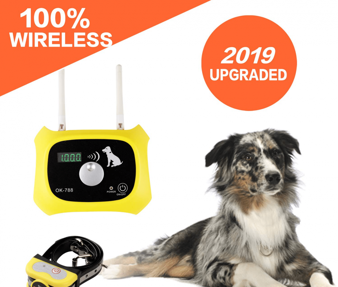 Best Wireless Dog Fence 2020 Roundup Review Heel Boy Heel