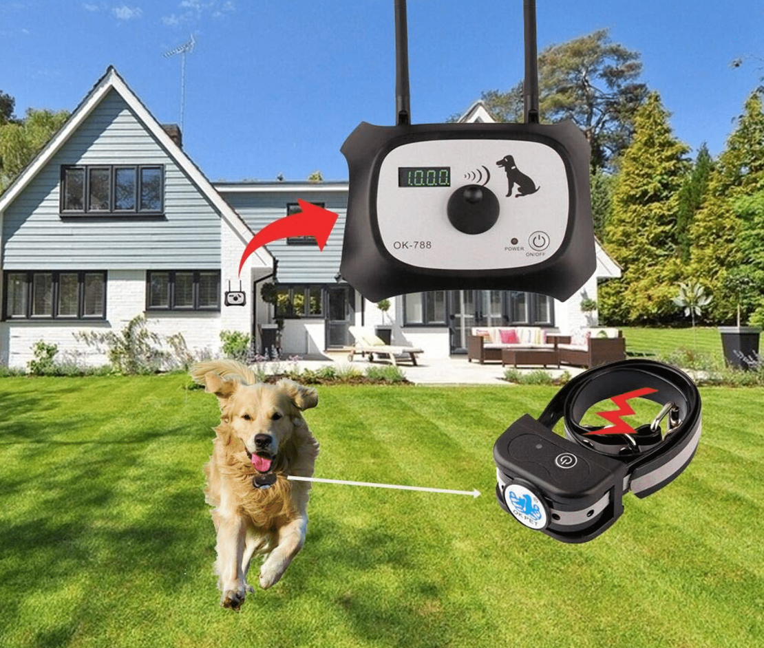 Best Wireless Dog Fence 2020 Roundup Review Heel Boy Heel