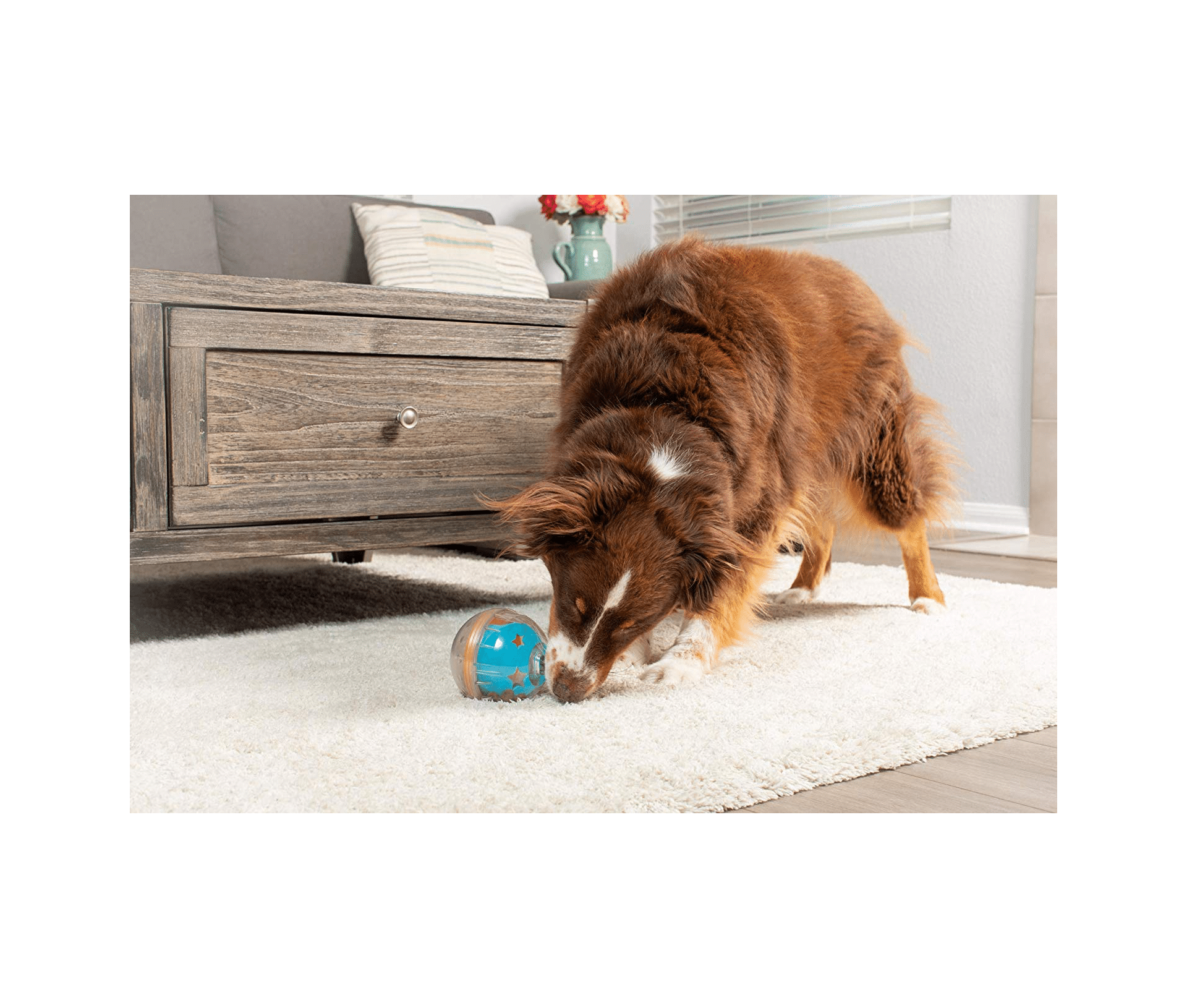 Pet Zone IQ Treat Ball Heel Boy Heel