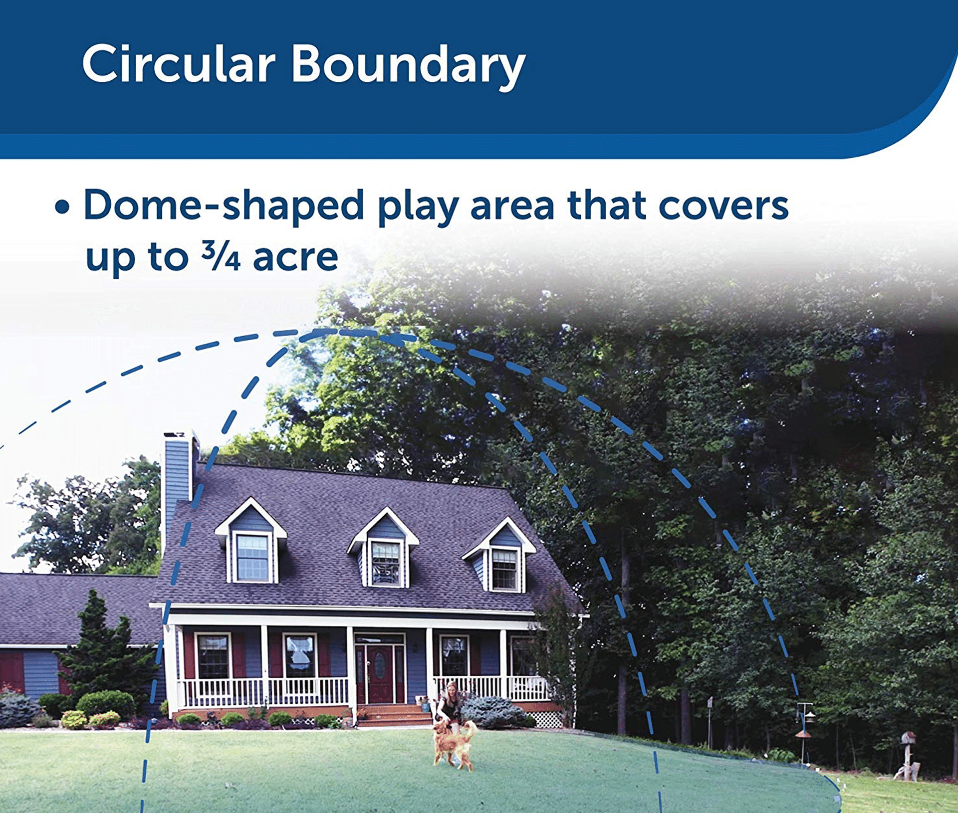 Best Wireless Dog Fence 2019 Roundup Review