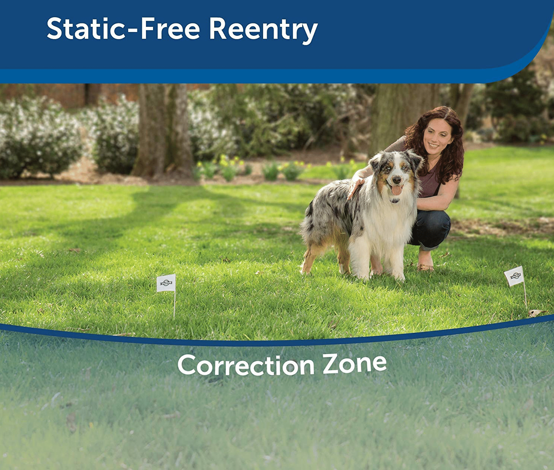 Best Wireless Dog Fence 2019 Roundup Review