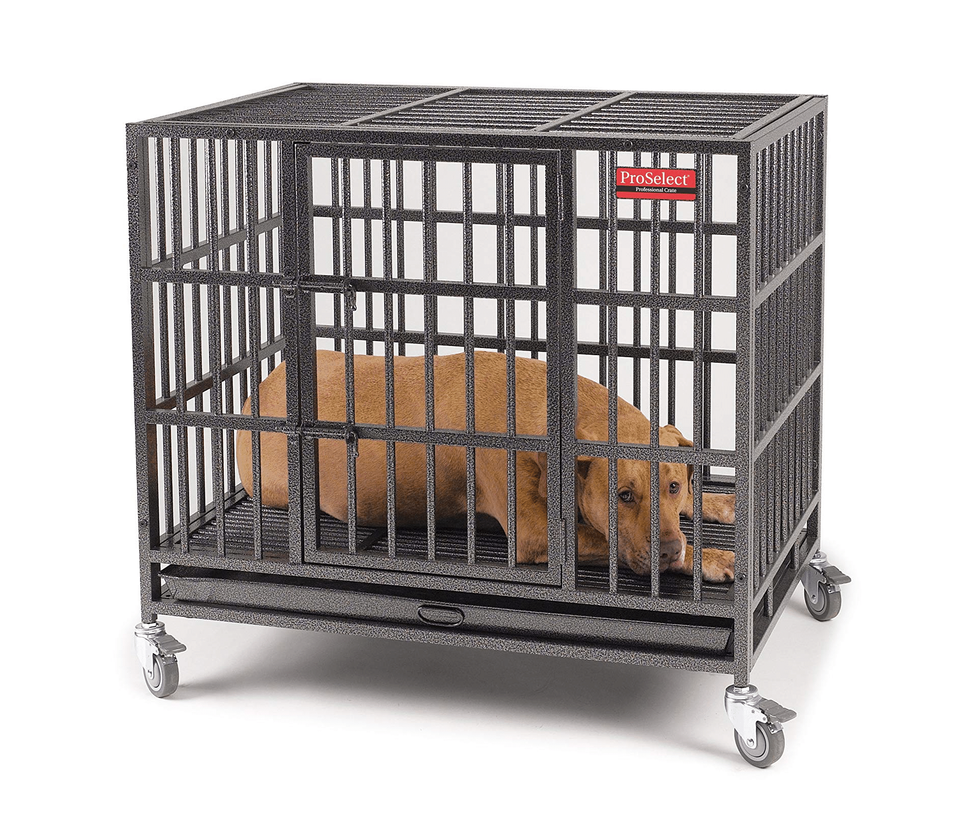 proselect empire dog crate reviews