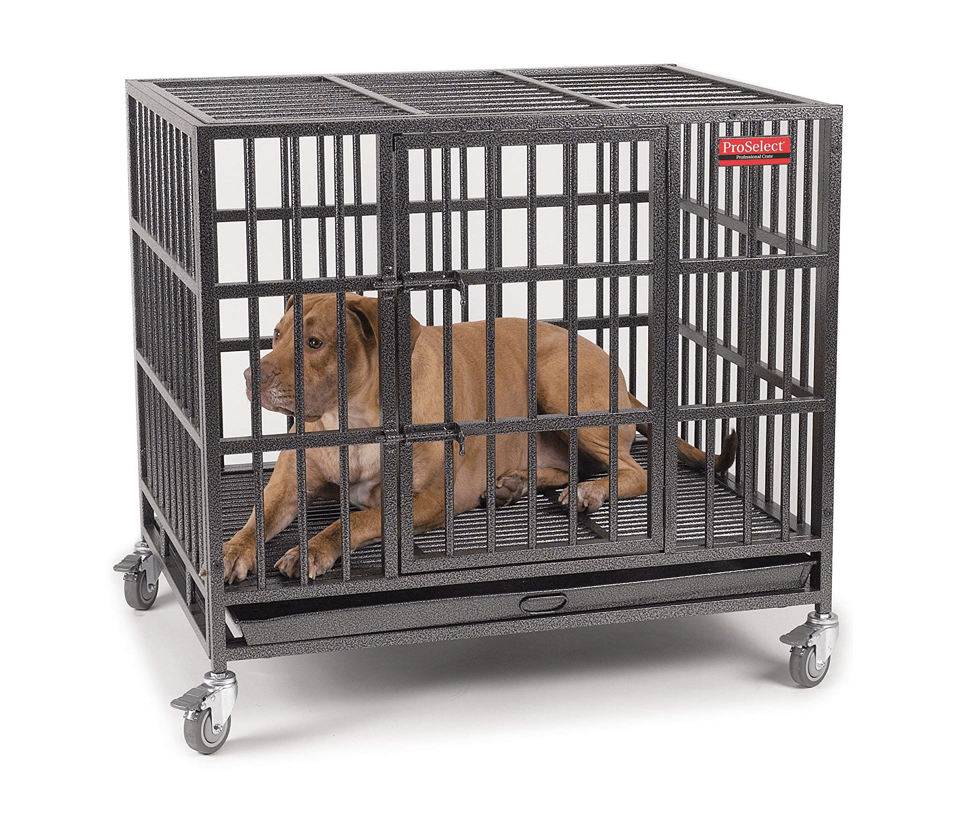 Pro Select Steel Empire Dog Cage 2019 Review