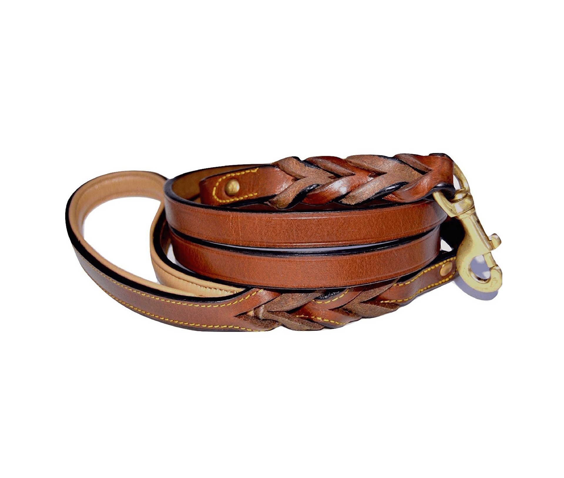 Soft Touch Collars Leather Braided Dog Leash