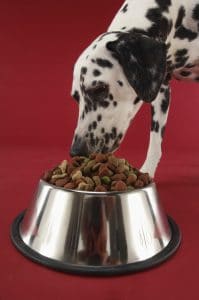 how to know if dog food is bad