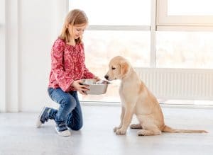 how long does a bag of dog food last