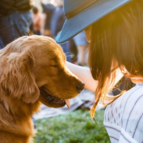 How Can I Help My Anxious Dog?