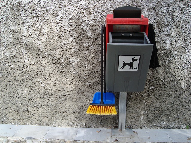 Dog poo waste bin